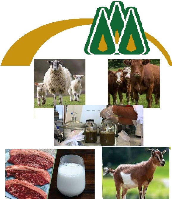 گروه دامپروری