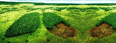 احکام محیط زیست