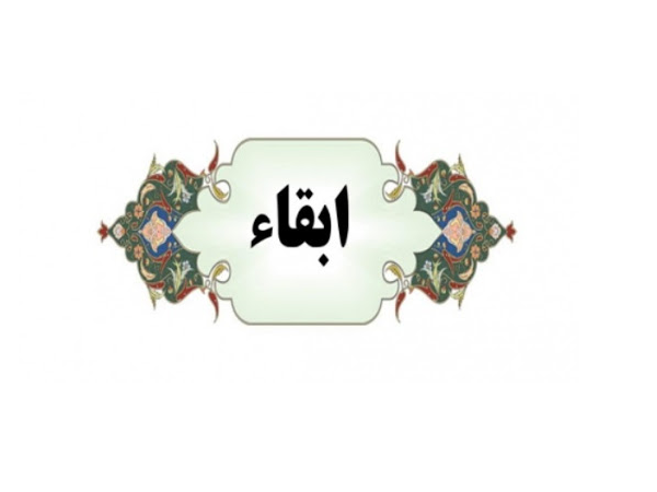 معاونین آموزشی و اداری-مالی دانشکده هنر در سمت خود ابقاء شدند